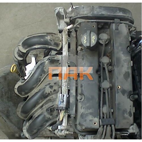 Двигатель Ford 1.6