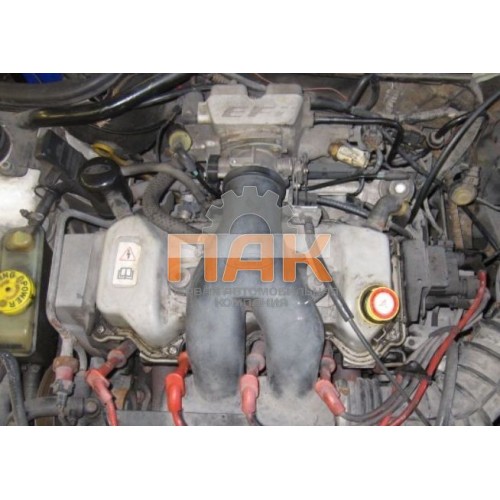 Двигатель Ford 1.6